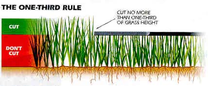 grass mowing, ohio, Lawn care, landscaper, lawn mowing, landscaping, mowing service, landscape service, mowing, lawn mower,