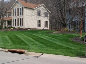edged curb and mowed grass in uninontown ohio,