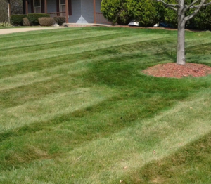 lawn mowing, landscaping, core aerating, akron ohio, hudson ohio, 44256,