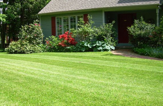 Lawn care, landscaper, lawn mowing, landscaping, mowing service, landscape service, mowing, firestone park ohio, firestone park oh, 44306,