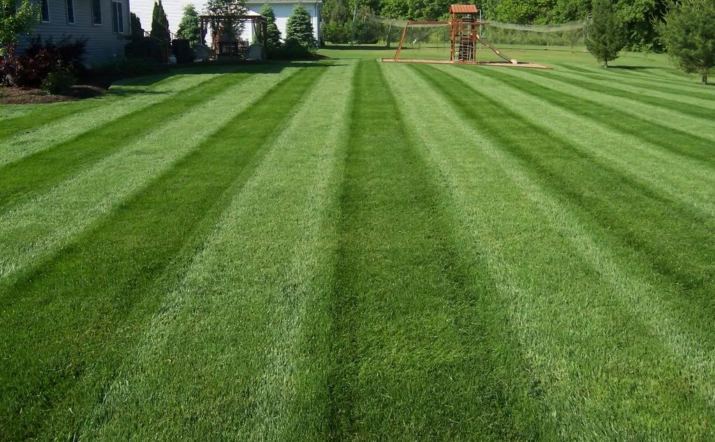 Lawn care, landscaper, lawn mowing, landscaping, mowing service, landscape service, mowing, portage lakes ohio, portage lakes oh,