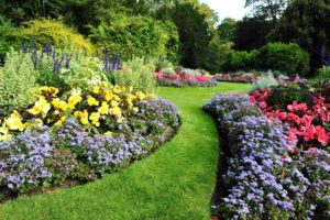 lawn mowing, lawn care, landscaper, landscaping, bed maintenance