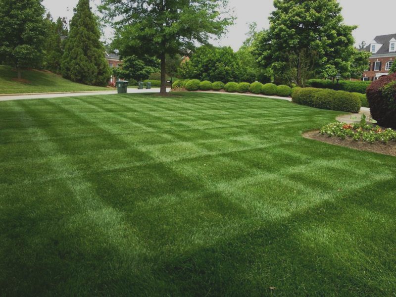 lawn mowing, 44286, richfield ohio, landscaper, landscaping company, lawn care company, lawn aeration, core aerating, plugs, overseeding, over seeding, grass seed, lawn service,