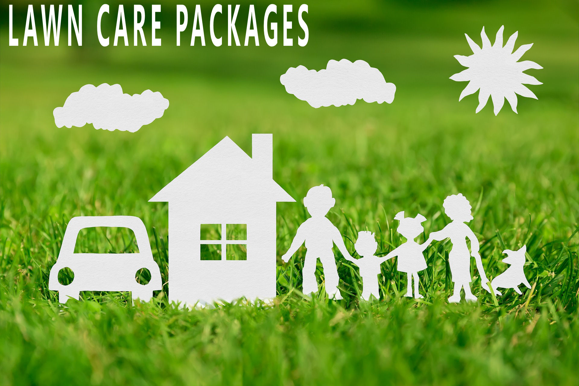 lawn care packages, weed control, fertilization, fertilizer, lawn service provider, akron ohio, richfield ohio, hinckley ohio, silver lake ohio, mogadore ohio, brinfield ohio, kent ohio, lawn care