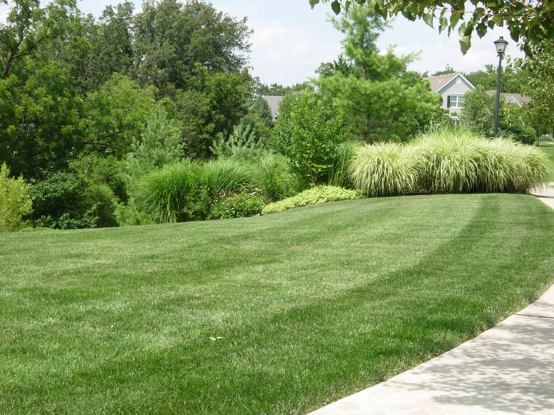 4 seasons services, lawn care services, lawn treatments, turf care, lawn care, caring for your lawn, grass fertilization, fertilizer services, akron ohio, canton ohio