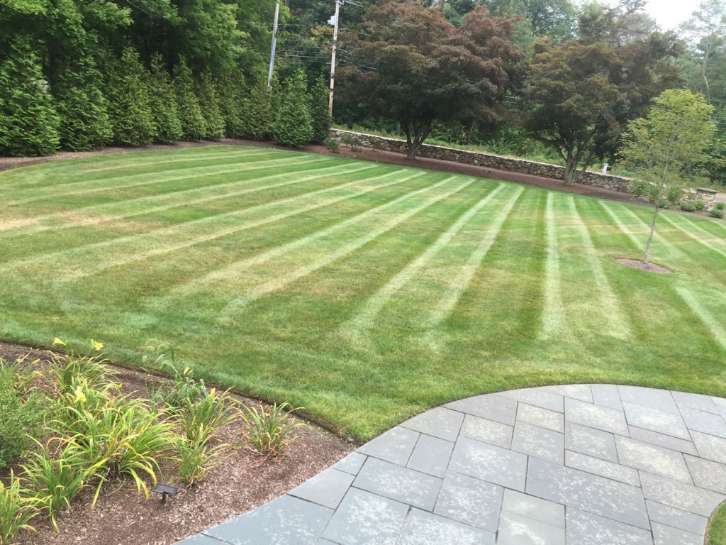 core aeration, lawn mowing, aerating, turf aeration, aerated turf, akron ohio, cuyahoga falls ohio, 44223, 44319, lawn care,