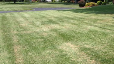 core aeration, lawn aerating, aerating, bath ohio, copley ohio,