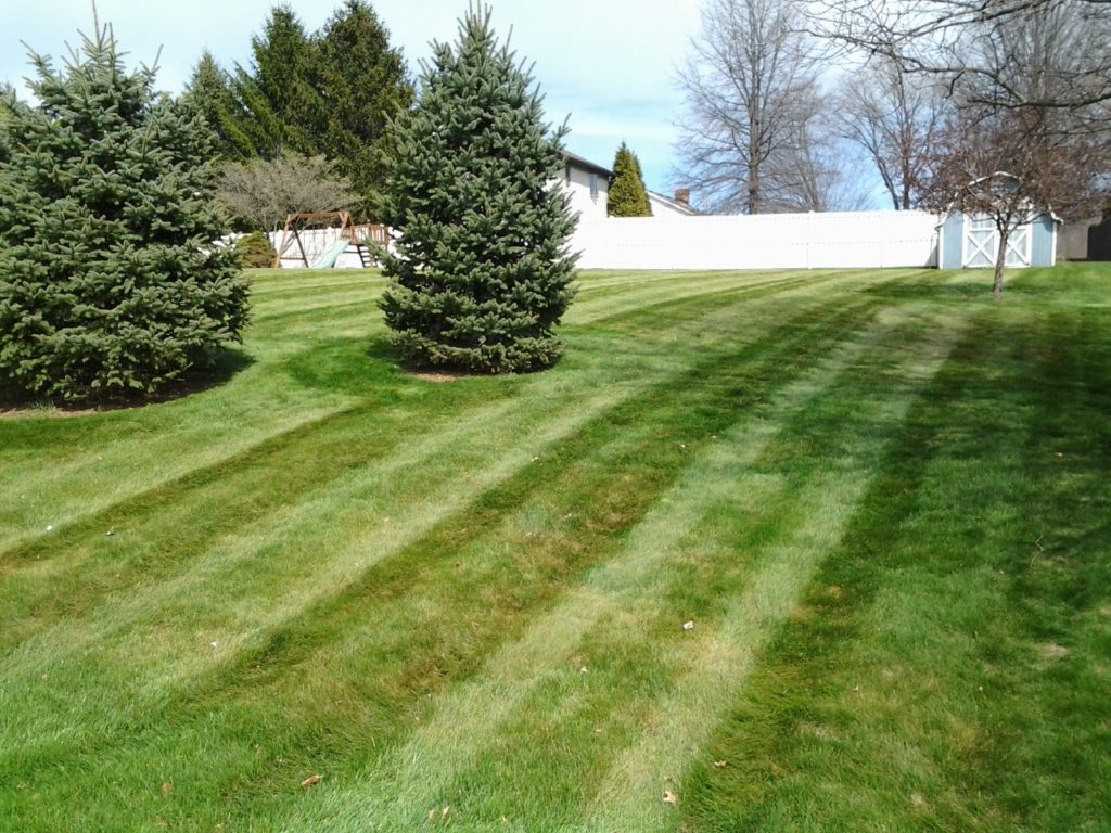 Akron Lawn Care 4 Seasons Services, Landscaping Akron Oh