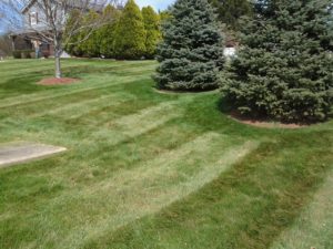 Lawn Care, Landscaping, Lawn Mowing, Landscape Maintenance,