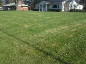 lawn care, clinton oh, lawn mowing, clinton ohio, lawn service, landscaping, landscaper, 44216,