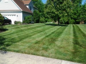 Lawn Mowing, Landscaping, Mowing, Lawn Care, Landscapes