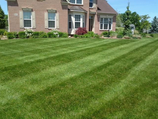 Barberton ohio, lawn care, lawn mowing, barberton oh, landscaper, lawn care provider, mowing service, 44203,