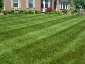 tallmadge ohio 44278, mowing and lawn care,