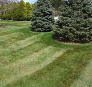 lawn mowing in cuyahoga falls oh,