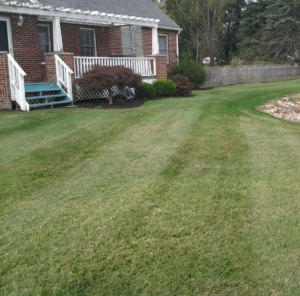 landscaping and lawn care in akron ohio,