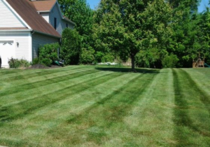 cutting grass, norton ohio, mowing, lawn care, lawn service, barberton ohio, jackson township oh, 44720,