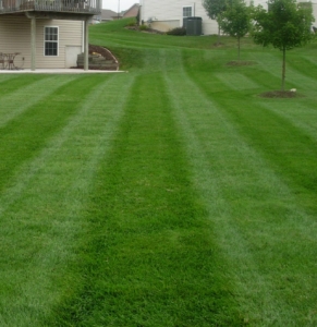 lawn mowing, barberton ohio, coventry ohio, green ohio, lawn care, lawn aeration,