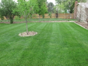 akron ohio, lawn care, landscaping, landscaper, lawn mowing, ellet, firestone, goodyear, aeration,