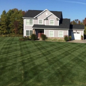 green grass, akron ohio, mowing, mowing business, stow ohio,