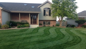 lawn stripes, edging, trimming, weed eating, weed whacker, akron ohio, fairlawn ohio,