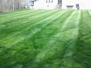 kenmore ohio, akron ohio, lawn mowing, lawn care, servicing lawns, portage lakes aeration, richfield ohio,