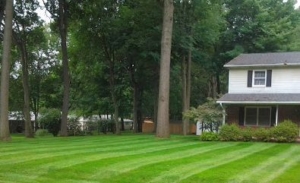 stripes, grass, akron, ohio, oh, mogadore, aerating, aeration, mowing, lawn,