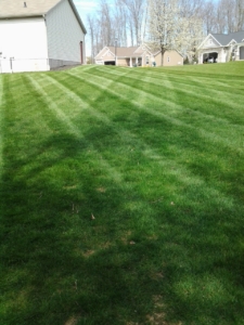 landscaping barberton ohio,