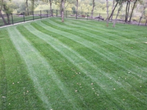 akron ohio, aeration, core aerating, aerated, summit county, springfield twp,