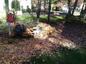 leaf plow, leaves, fall color, akron ohio, cuyahoga falls, richfield ohio, leaf,