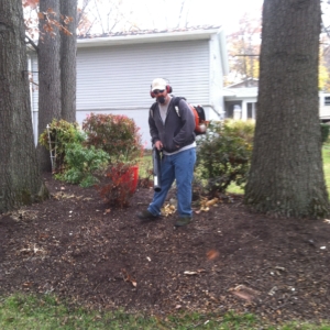 leaf blowing, akron ohio, clinton ohio, clean up, fall,