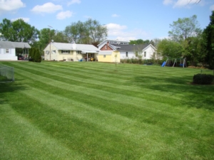 city lots, city mowing, akron ohio, 44303, 44314,