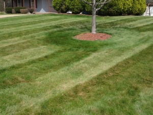 lawn mowing in akron ohio,