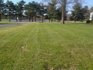 barberton aeration service, ohio aeration, aerating a lawn, akron ohio, grass,