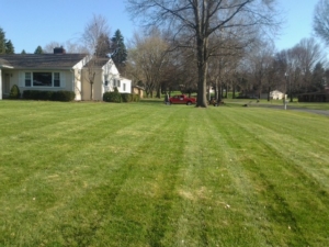 cuyahoga falls ohio, mowing, lawn care, landscaping company,