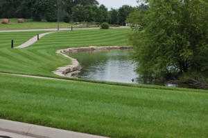 golf course quality, lawn care service, mowing company, lawn striping, professional mowing, quality cut, akron oh, 44306,