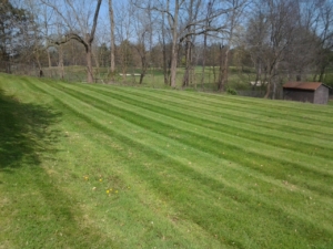 green ohio, 44685, mowing,