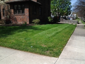 firestone park ohio edging, lawn care,