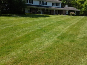 stan hywet lawn mowing,