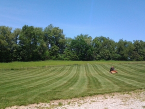 44319 core aeration, new franklin ohio, mowing,