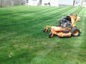 Lawn patterns, commercial equipment, Scag Vride, mowing service, lawn care, grass service, Green Ohio, 44685,