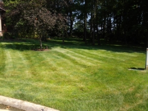 44312 springfield township ohio, lawn care, mowing,