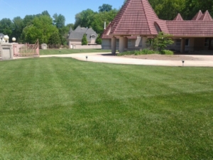 lawn aeration, lawn mowing, uniontown oh, green oh, 44685