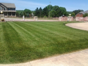 springfield twp ohio, 44312, lawn mowing,