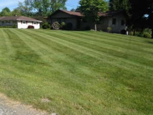 44312 lawn care, springfield township ohio