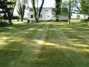 clinton ohio landscaping bubsiness, 44216,