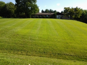 lawn cutting, grass cutting, mower, lawn maintenance, akron ohio, aerated, aerating,