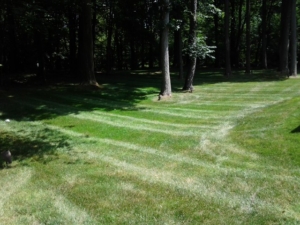 clinton ohio lawn aeration, 44216,