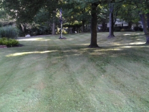 clinton ohio lawn mowing, 44216,