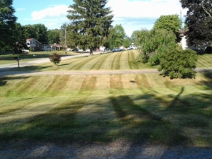 bath ohio mowing service, 44333,