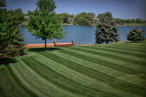 fairlawn ohio lawn mowing services,